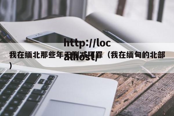 我在缅北那些年无删减阿罪(我在缅甸的北部)